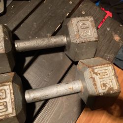 20lb Dumbells