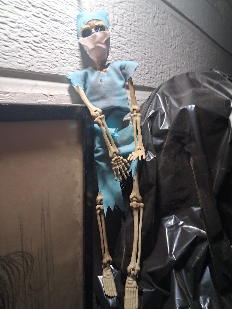 Mini Skeleton