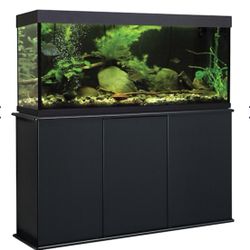 75 Gallon Aquarium and Stand