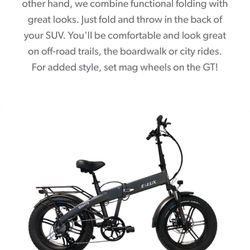 E Lux Sierra Electric Bike