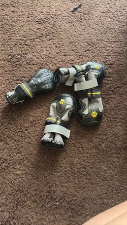 Dog Shoes