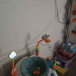 Baby Bouncer 