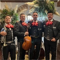 Violin Trompeta Guitarron Mariachi
