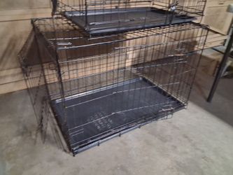 LG kennel