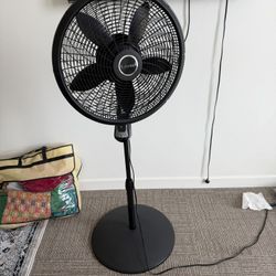 Standing Fan