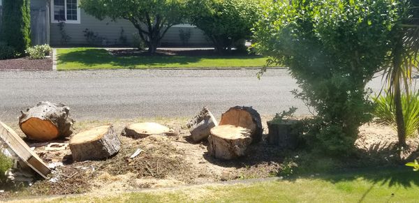 Free wood for Sale in Tacoma WA - OfferUp