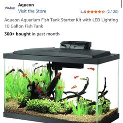 Fish Tank
