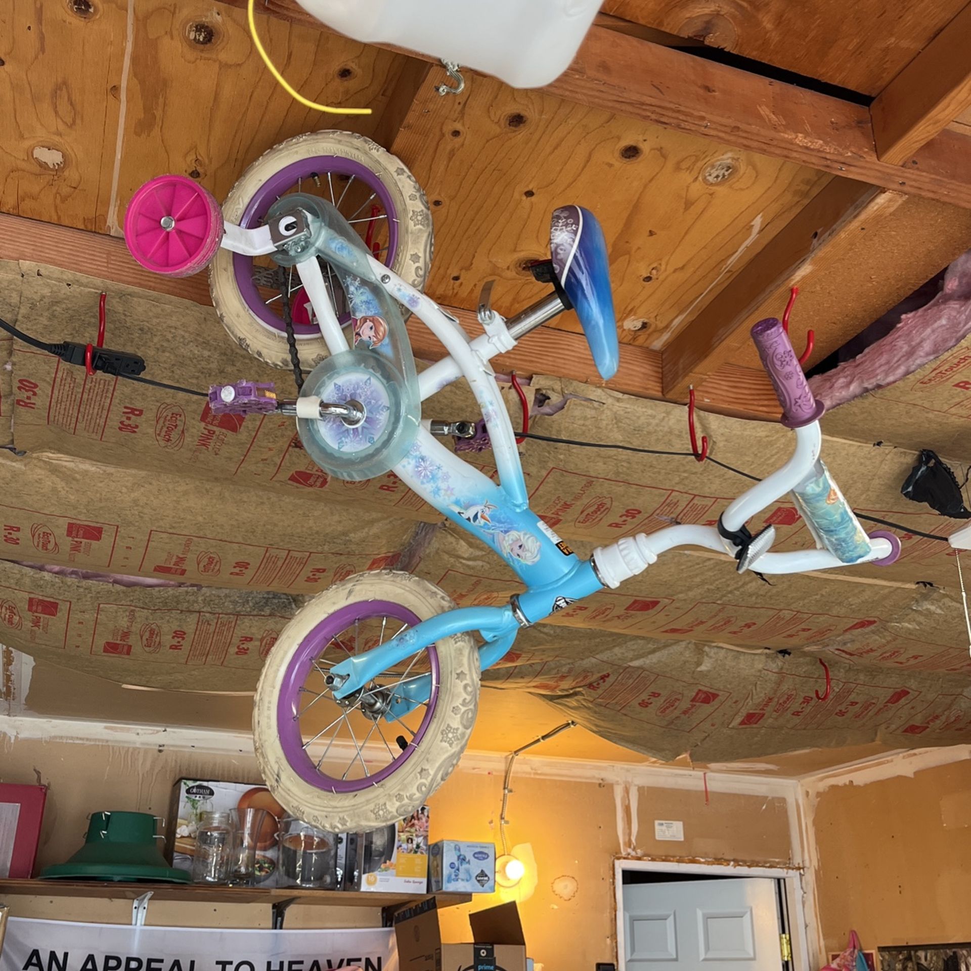 Young Girls Frozen Bike