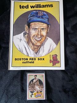 Ted Williams MLB Red Sox