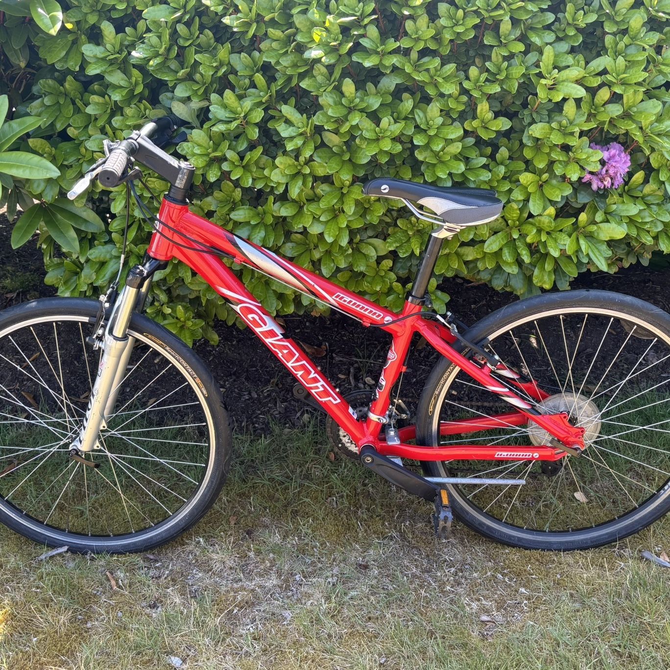 Giant Iguana Mountain Bike for Sale in Bellevue, WA - OfferUp