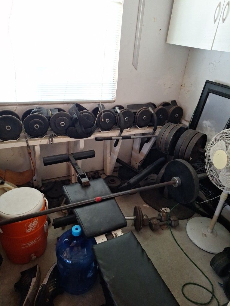 Workout Equipment, Weights, Bench Press 