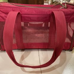 Pet Carry Beg
