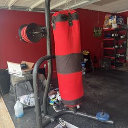 Punching Kicking Bag W Stand