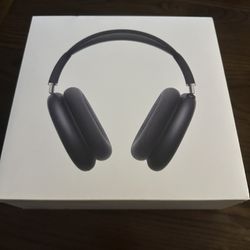 Apple Headphones 