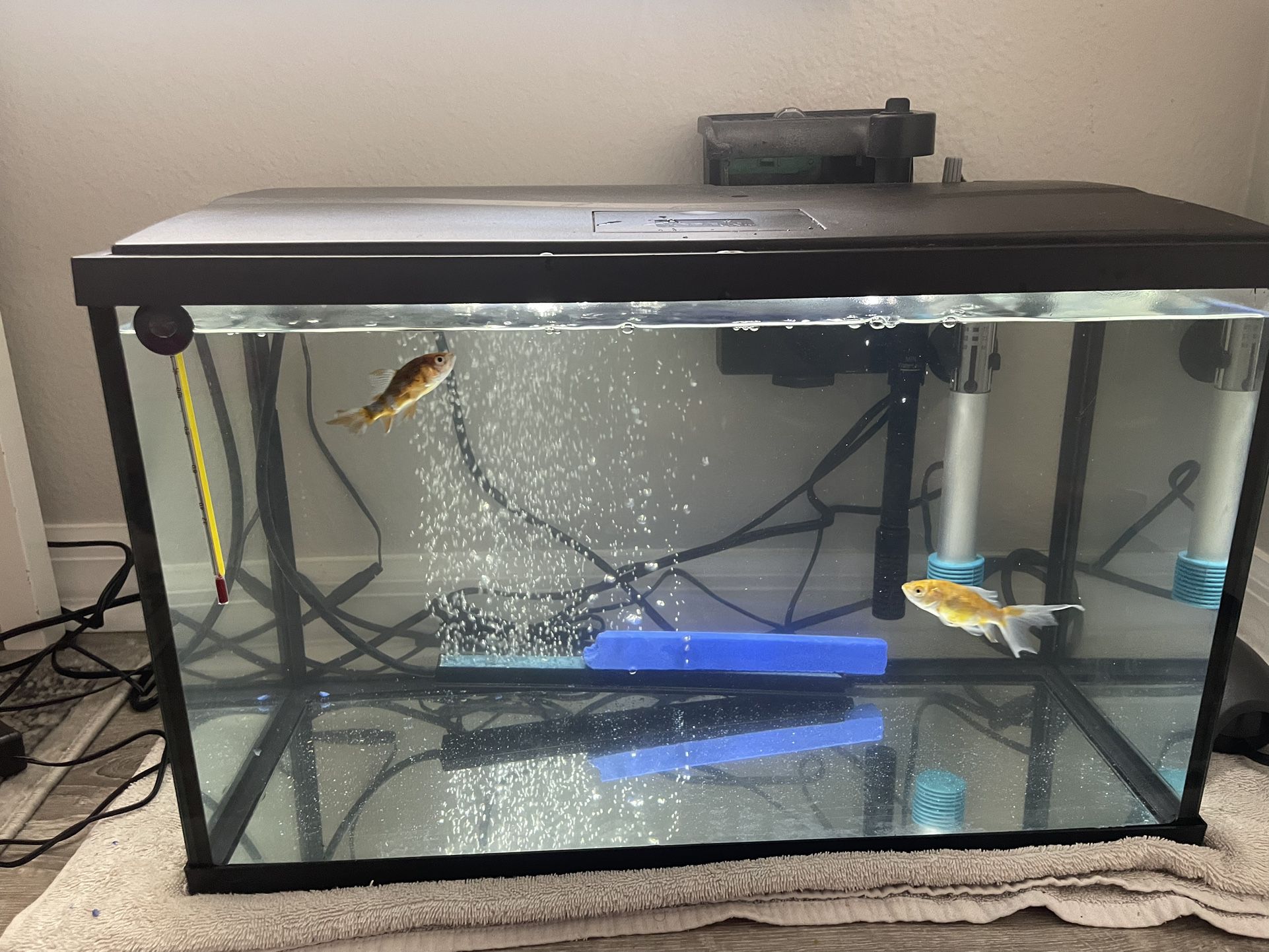 Fish Tank for Sale in Brandon, FL - OfferUp