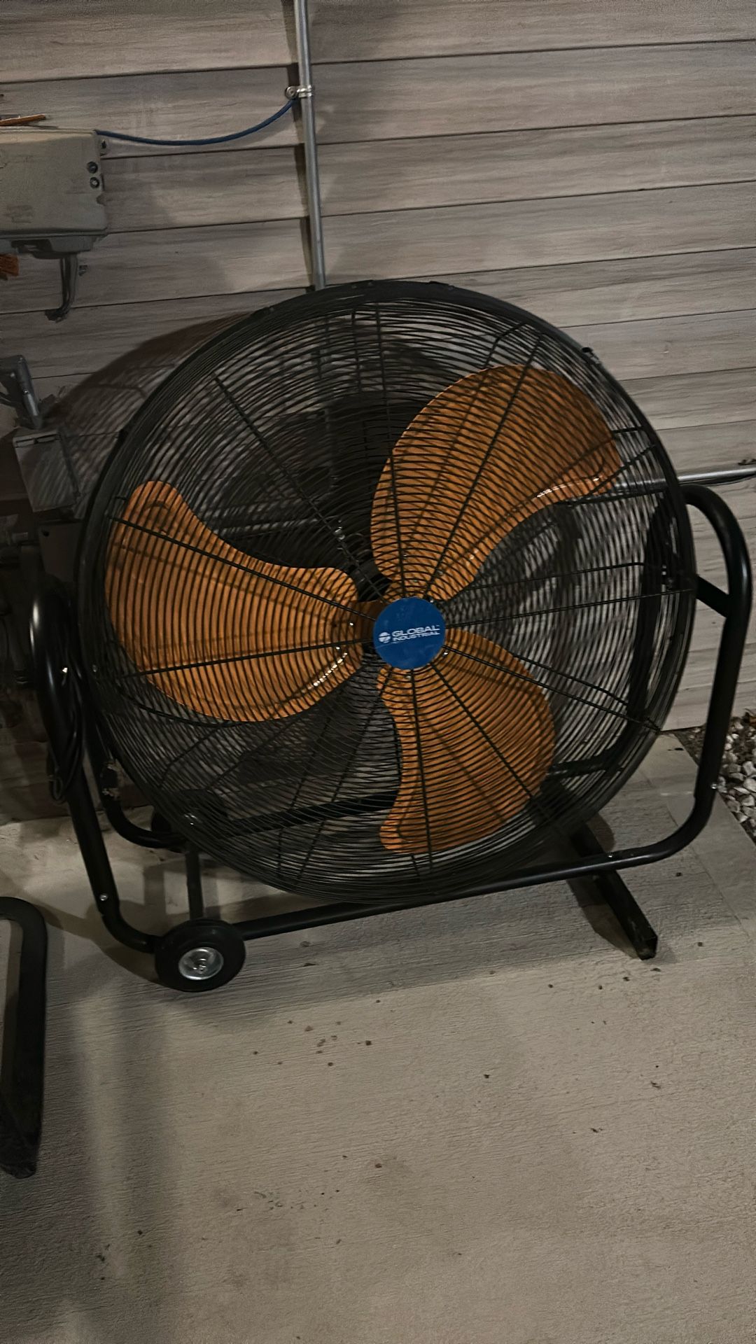 Big Fan