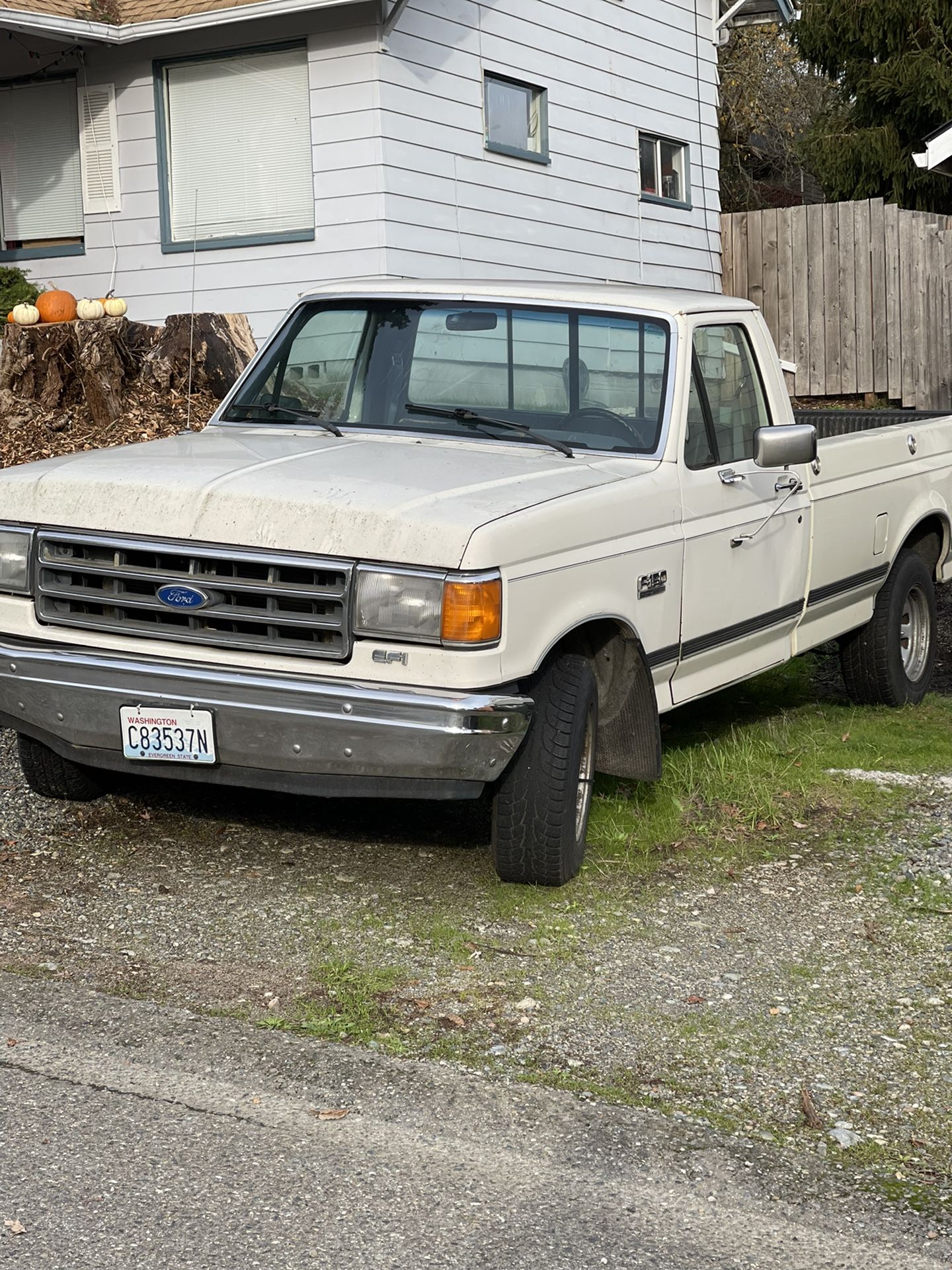 1989 Ford F-150