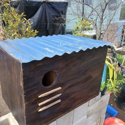 Barn Owl Box