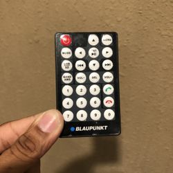 Car stereo remote