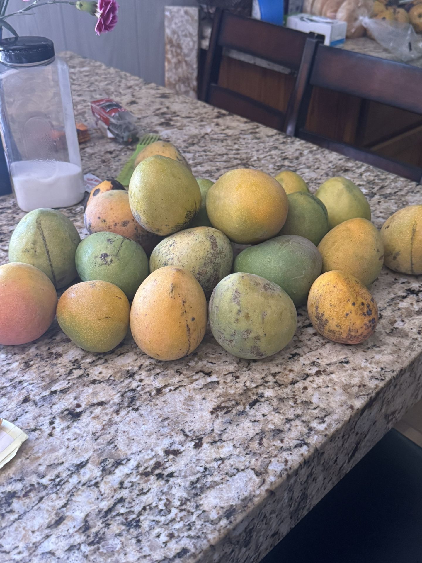 Fresh Mangos