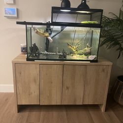 Aquarium Tank, Stand, Filtration System (all From Petsmart) 