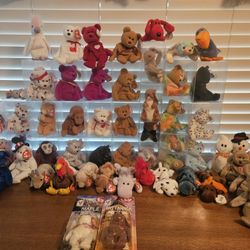 Beanie Baby  (LOT of 54)