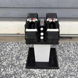 PowerBlock Dumbbells 90 Lbs 