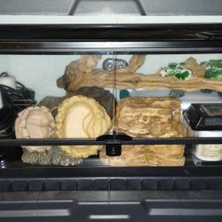 20 Gallon Front Opening Terrarium With Accessories
