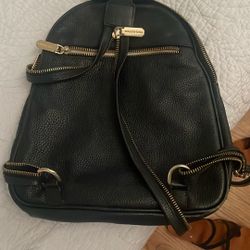 Valentina Backpack/ Purse 