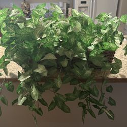 🌿🍃Pair of fake plants in baskets. BOTH FOR $40 or $25 EACH