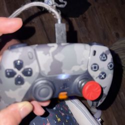 PS5 Battle Beaver 