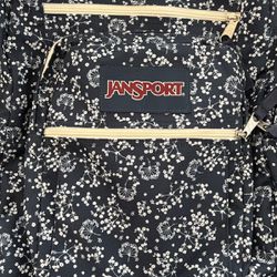 Jansport Backpack Blue And White