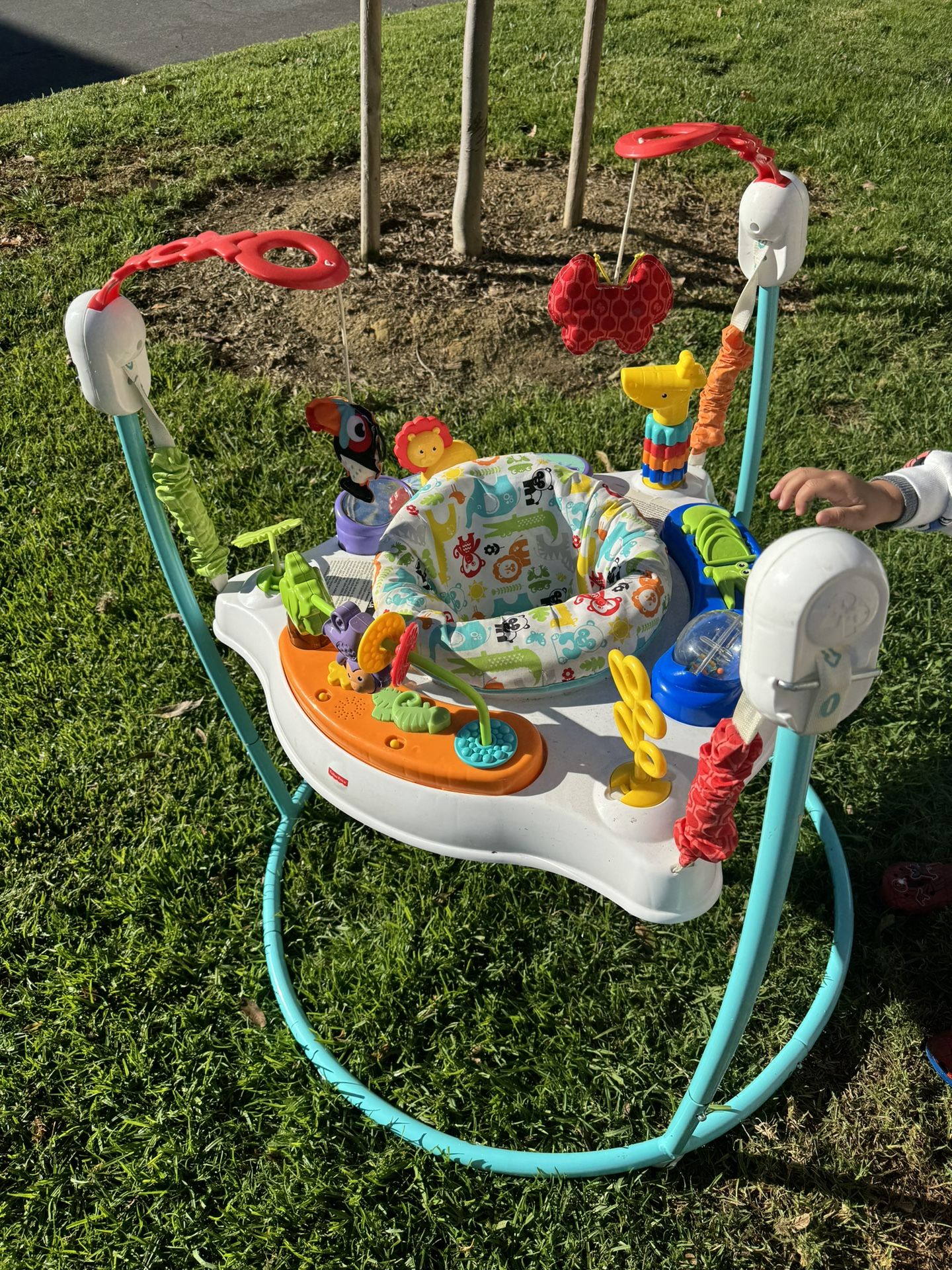 Fisher Price Activity Center