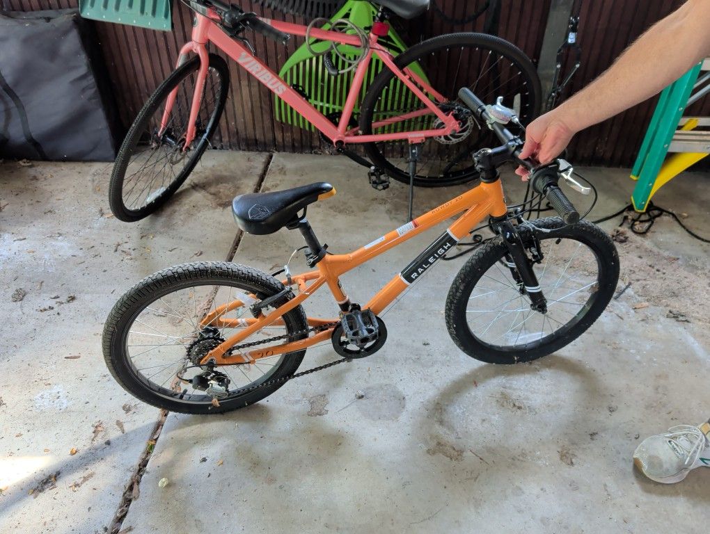 Raleigh Rowdy 20in Wheels