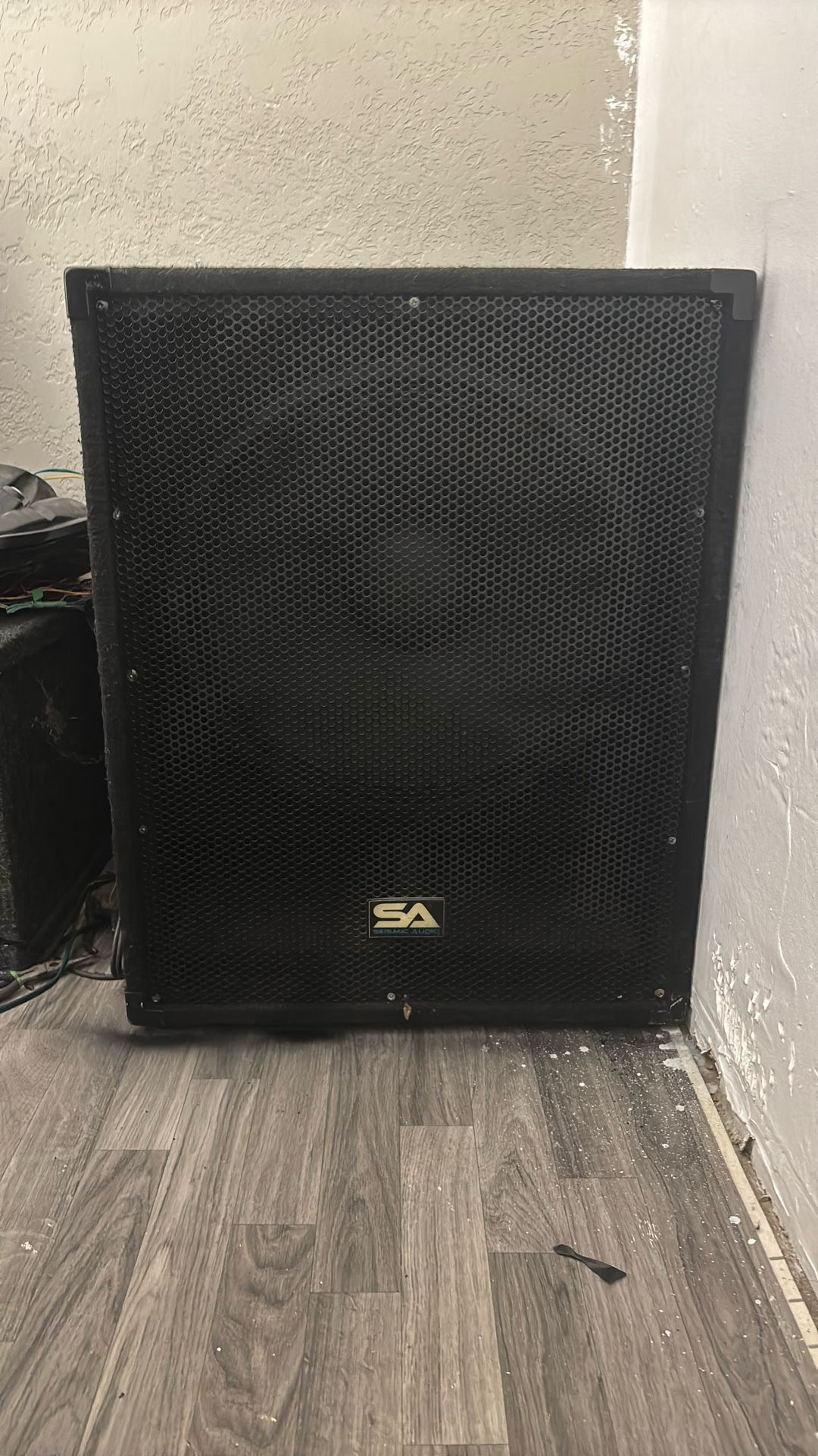 18” Arena Amp Built In Speaker 