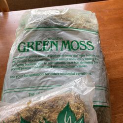 Decorative Moss NIP