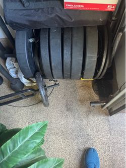 340 LBS of Bumper Plates/ Olympic 45 Bar & Trap Bar with stand