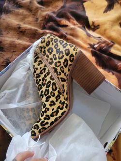 Jeffery Campbell Shoes