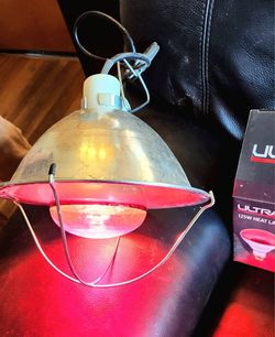 Chick Heat Lamp or Light