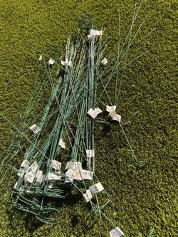 Plant Stakes 80+