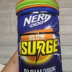 Nerf Dog Glow Surge Charging station