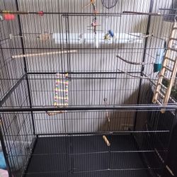 Birds Cage 