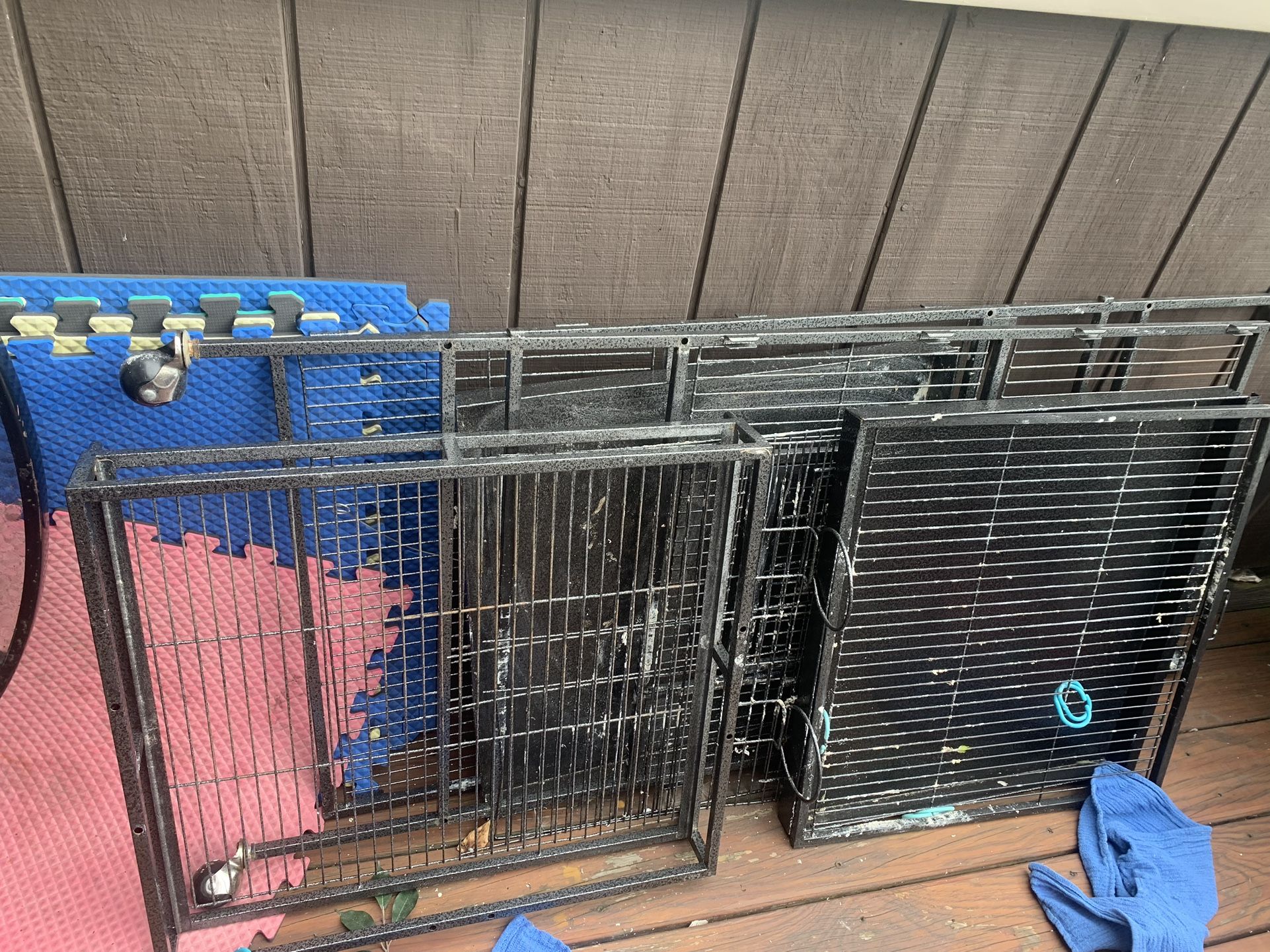 Big Bird Cage