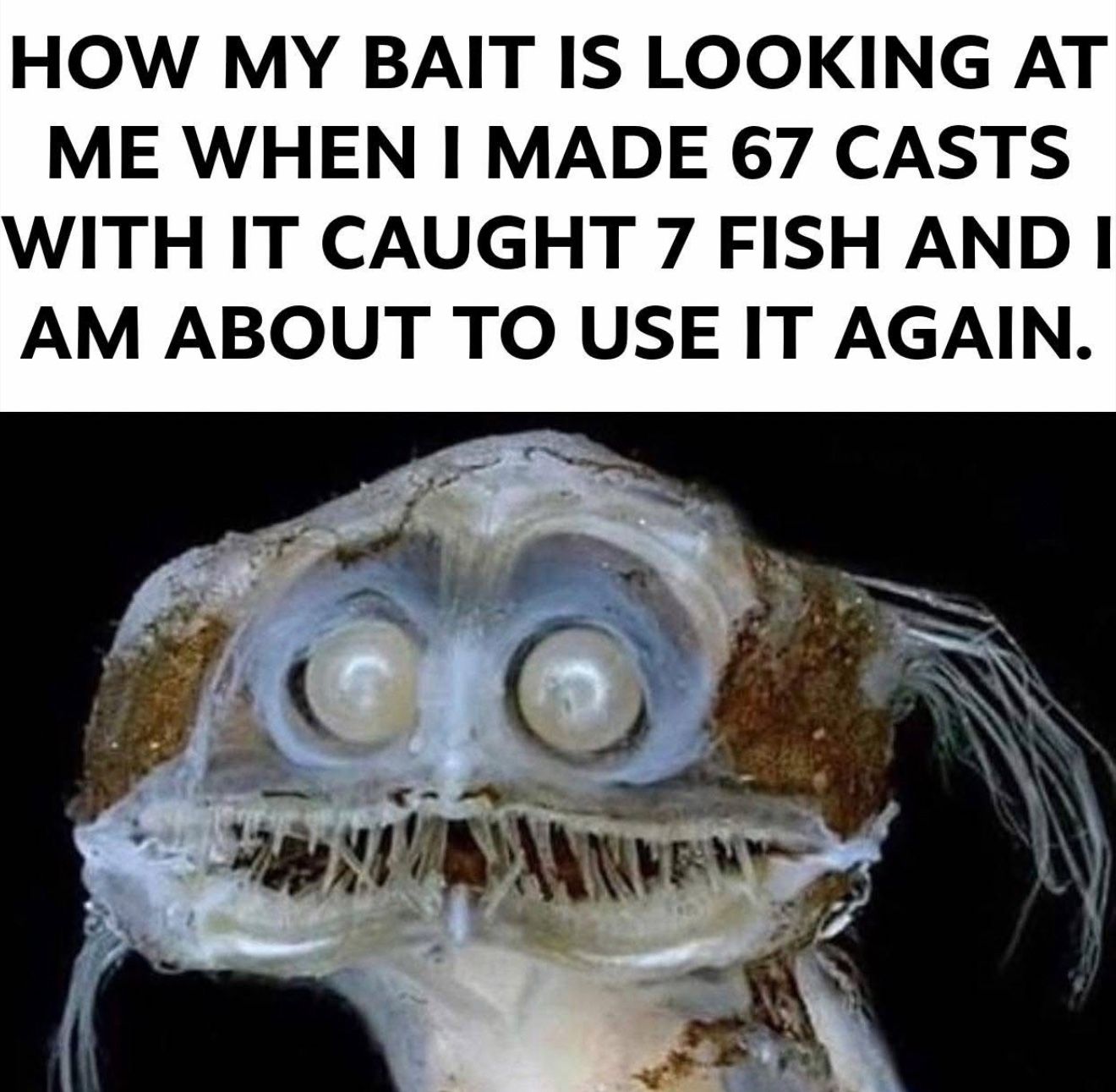 Fishing/Hiking/Camping/Vintage Camping Gear