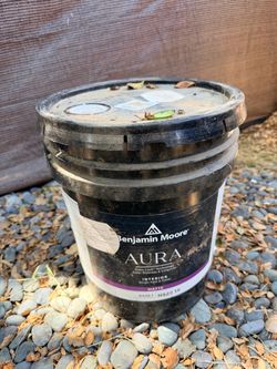 Benjamin Moore Aura Interior Matte Paint 5 Gallon Chantilly Lace