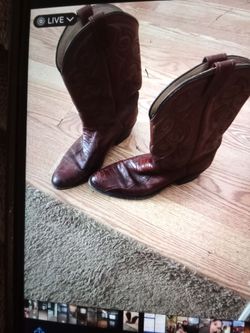 Size 9 Kingsley caimen western boots
