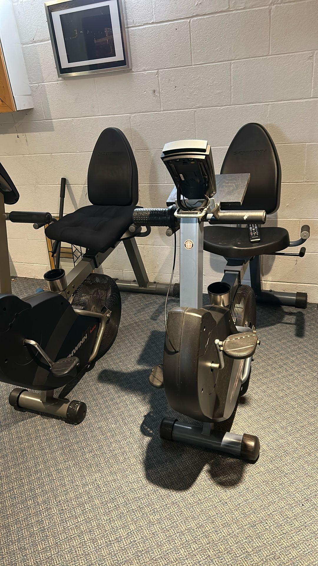 Schwinn Airdyne Backdraft