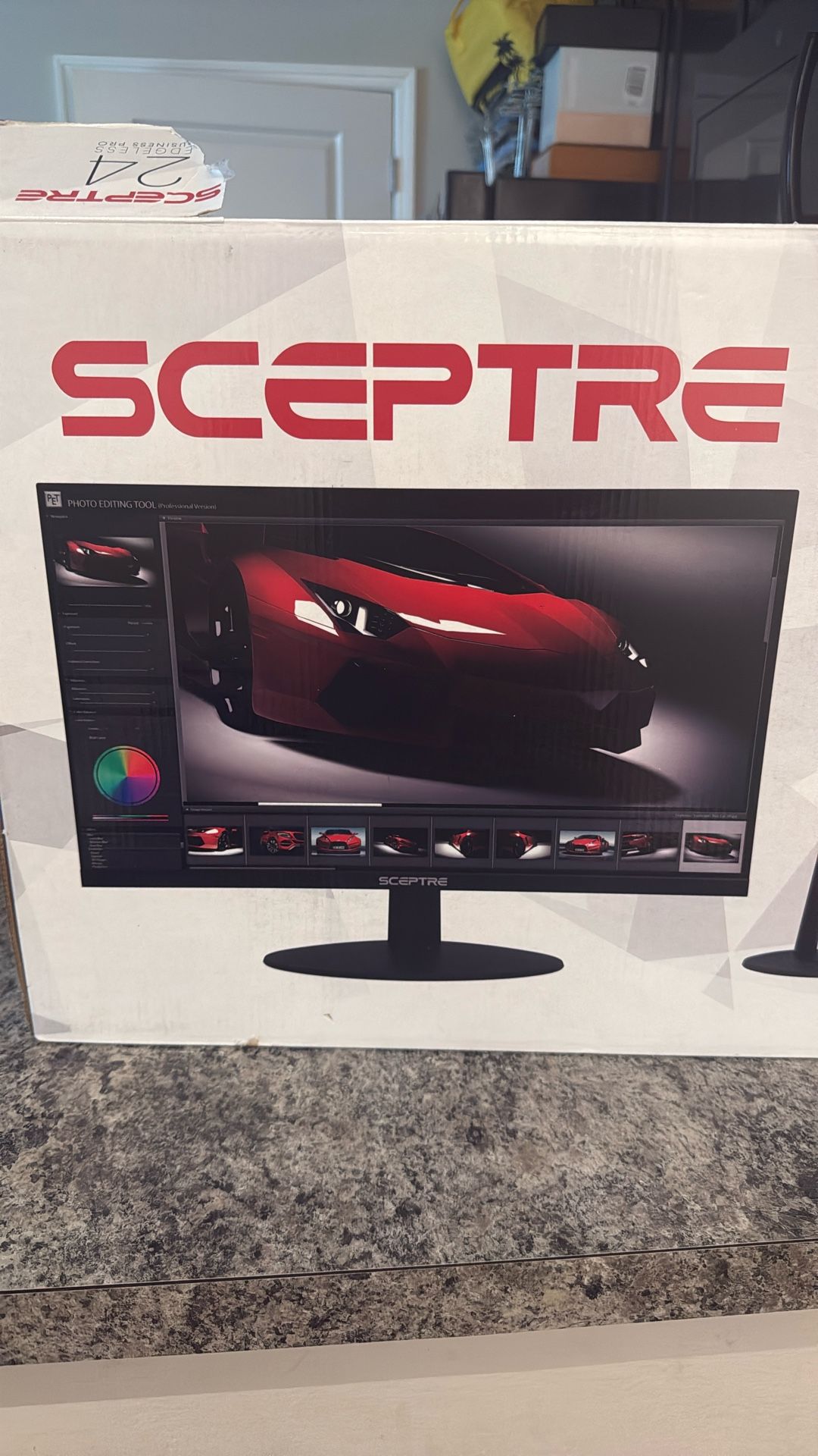 Scepter 24in Monitor