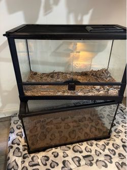 10 gallon tanks