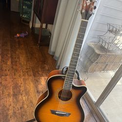 Washburn acoustic /Electric